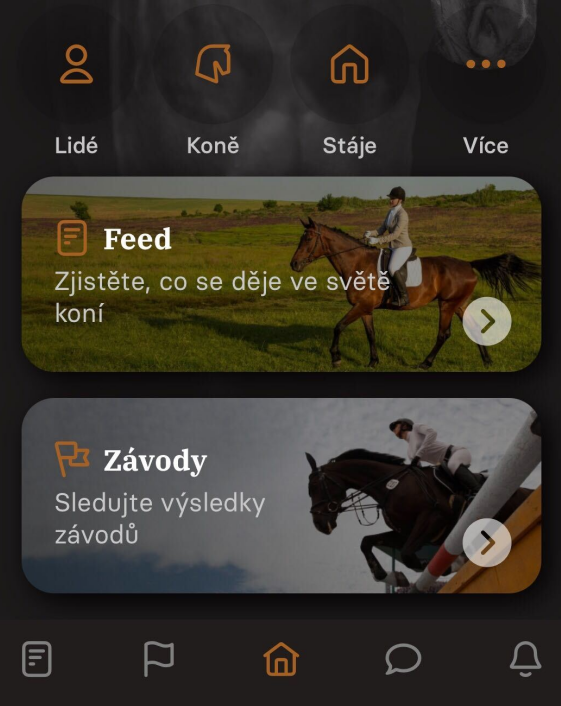 Homepage